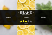 Load image into Gallery viewer, hotel-fragrance-pure-essential-oils-w-hotel-inspired-scent-aroma-diffuser-aromatherapy-essential-oils-pristine-lavender