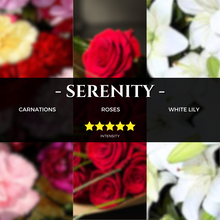 Load image into Gallery viewer, serenity-st-regis-inspired-scent-hotel-fragrance-aromatherapy-pure-essential-oils-aroma-scent-lemongrass-lavander-reed-diffuser-essential-oils-spray