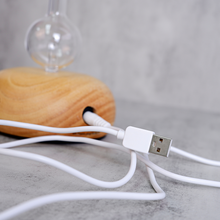 Load image into Gallery viewer, fragrance nebulizer