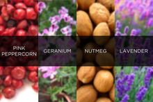 Load image into Gallery viewer, reed_diffuser_refill_home_fragrance_scent_aromatherapy_lavender_lemongrass_sandalwood_eucalyptus
