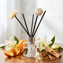 Load image into Gallery viewer, citrous-hotel-scent-reed-diffuser-home-fragrance-aromatherapy-essential-oil-aroma
