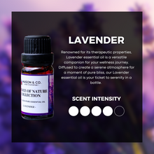 Load image into Gallery viewer, lavender-pure-essential-oil-diffuse-aroma-scent-fragrance-aromatherapy-kirona-flo
