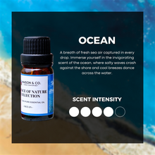 Load image into Gallery viewer, ocean-pure-essential-oil-diffuse-aroma-scent-fragrance-aromatherapy-kirona-flo-pristine
