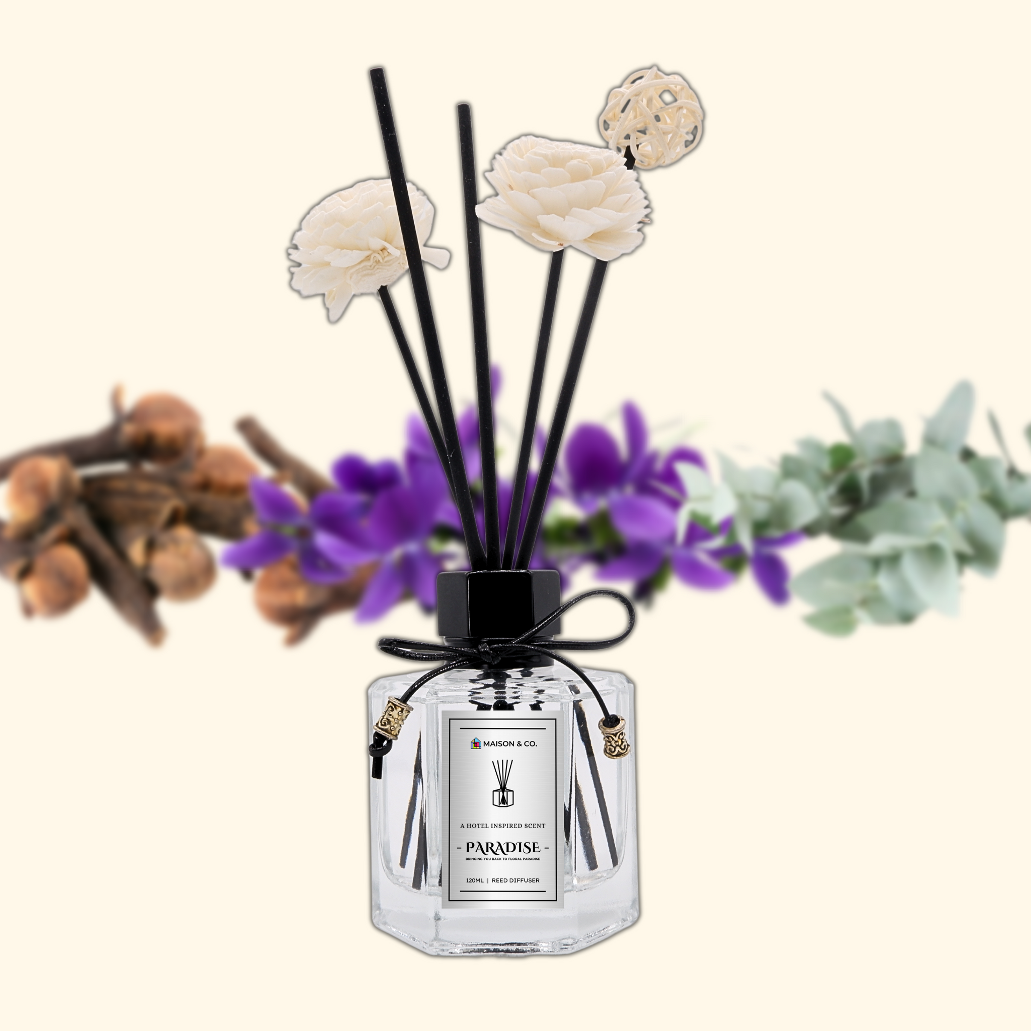 PARADISE – Maison & Co.