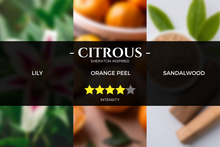 Load image into Gallery viewer, sheraton-inspired-scent-hotel-fragrance-pure-essential-oils-home-fragrance-aroma-diffuser-arormatherapy-pristine-lemongrass

